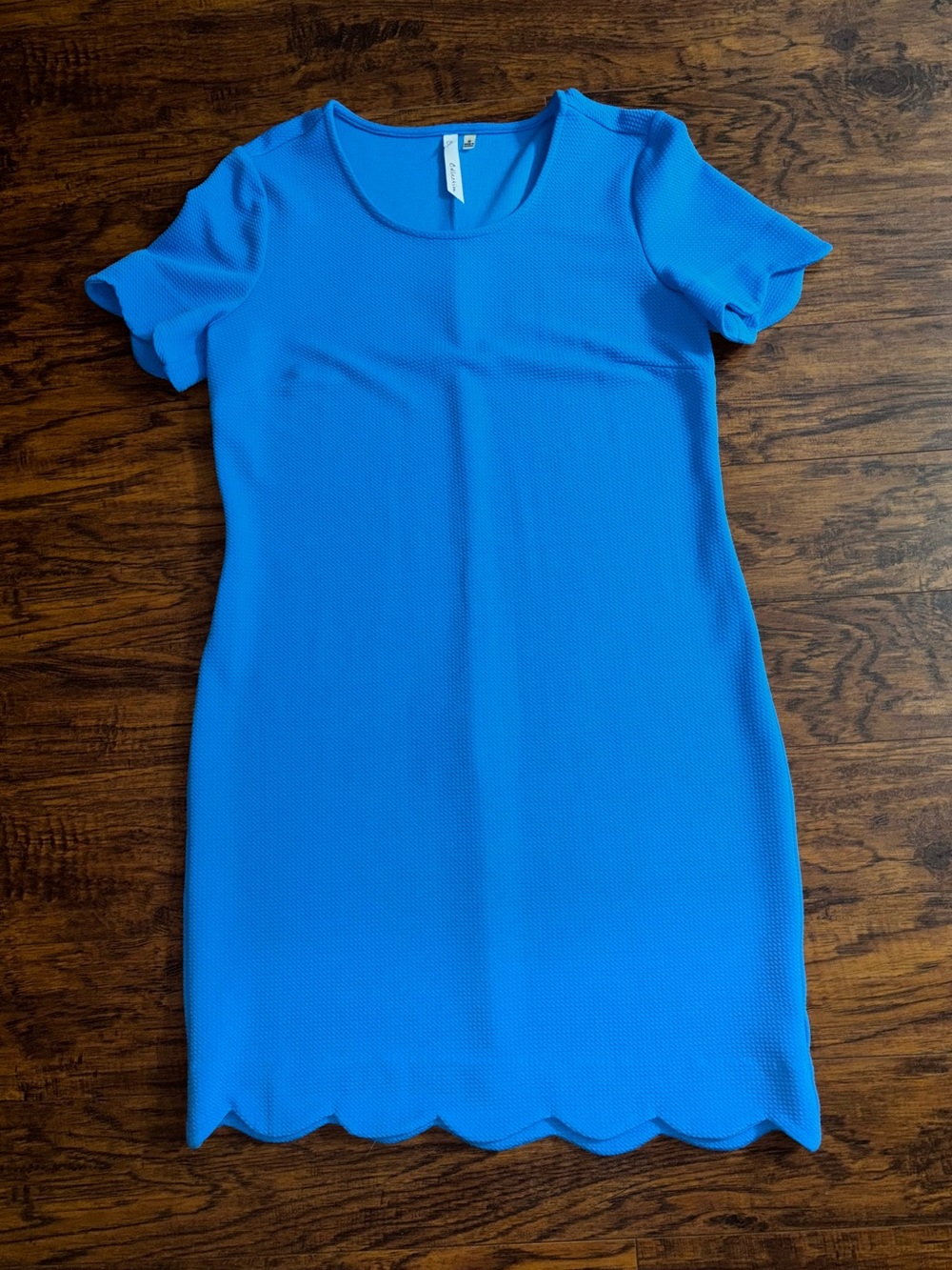 NY Collection Scallop Hem Shift Dress Aqua Blue Waffle Knit Professional Midi - Picture 1 of 9
